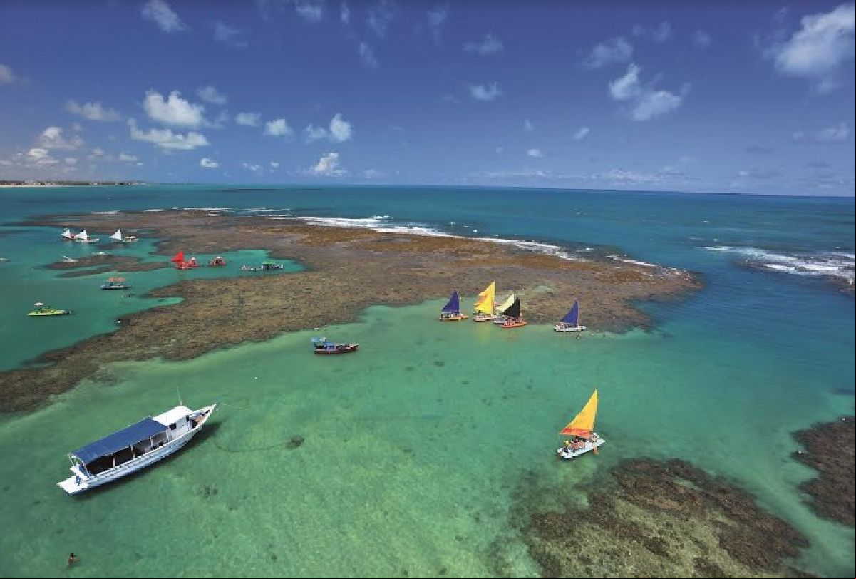 Porto de Galinhas: destino possui diversos atrativos que vão desde mergulhos nas piscinas naturais até participações em iniciativas de preservação ambiental 