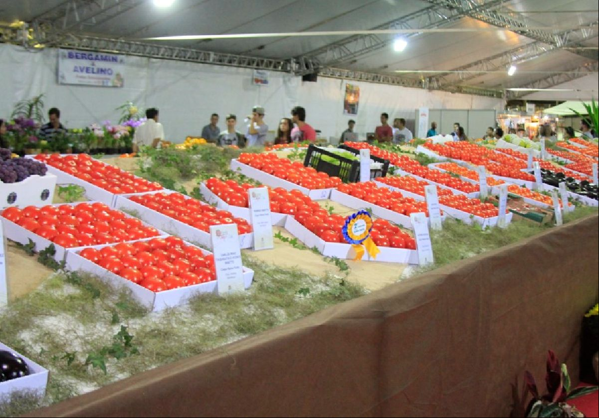 Festa do Caqui & Cia promove turismo rural no Circuito das Frutas em Itatiba